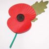 The Poppy Appeal 2010