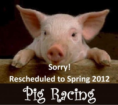 Pig racing postponed
