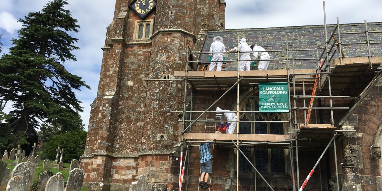 Holy Honeybees; builders and beekeepers team up to re-locate Church swarm of bees.