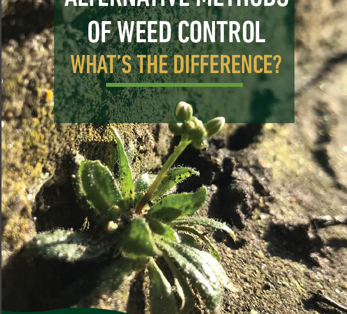 Alternative methods to weed control