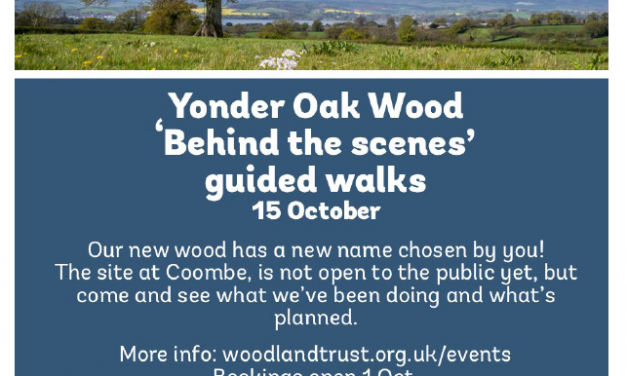 Guided Walks at new Woodland