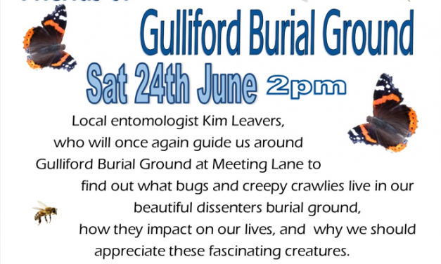 Bug hunt at Gulliford Burial Ground