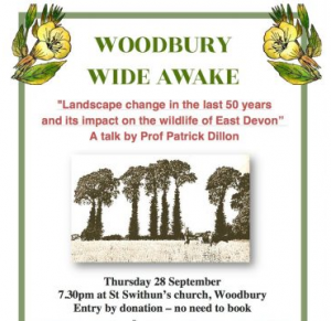 Woodbury Wide Awake